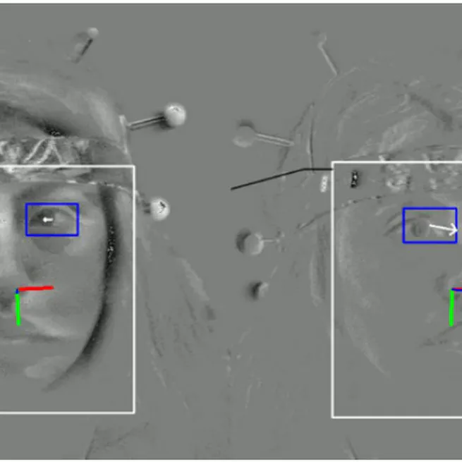 Real-Time Multi-Task Facial Analytics With Event Cameras