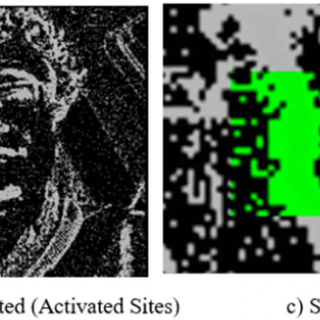 Neuromorphic Driver Monitoring Systems: A Computationally Efficient Proof-of-Concept for Driver Distraction Detection