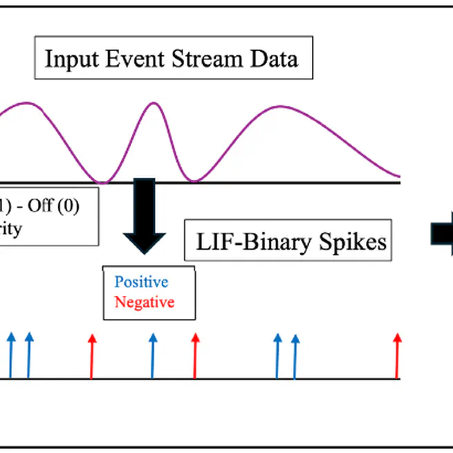 Spiking-DD: neuromorphic event camera based driver distraction detection with spiking neural network